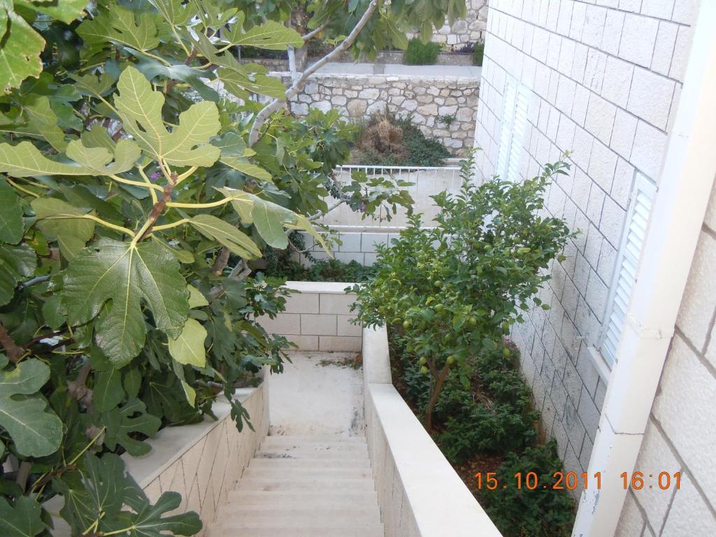 Central Apartment Дубровник Стая снимка