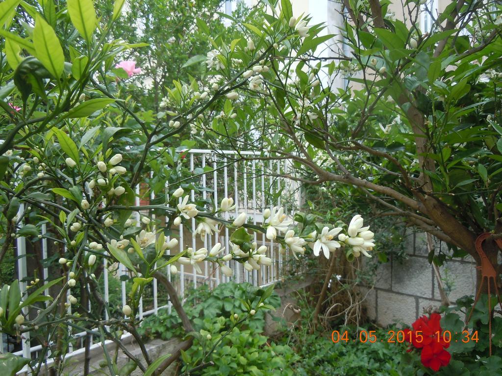 Central Apartment Дубровник Стая снимка